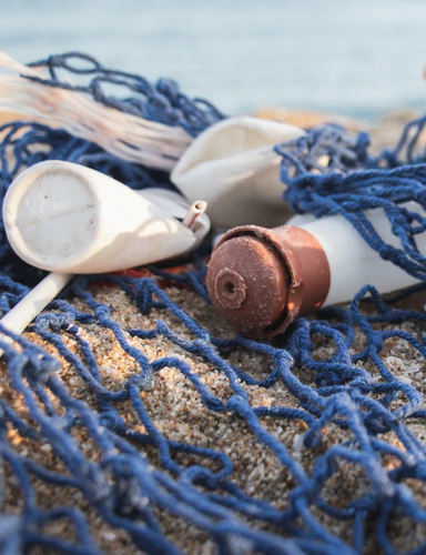 土壤检测与场地调查